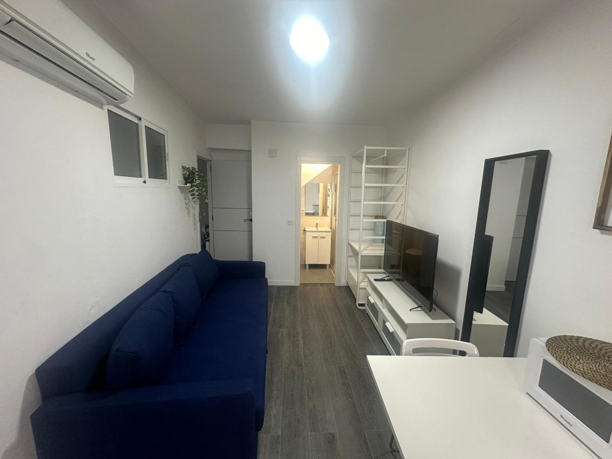 Calle Harinas 23 Σεβίλλη Εξωτερικό φωτογραφία